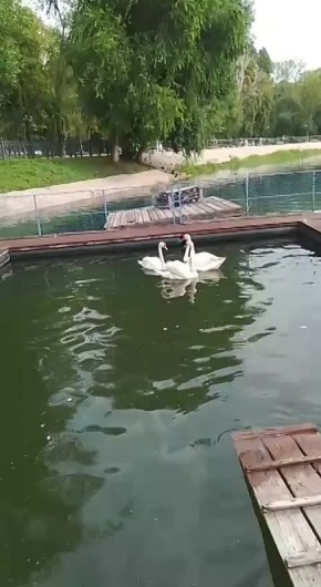    ,      , !
