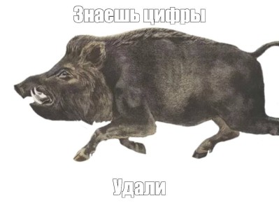    56 ,    1,2  