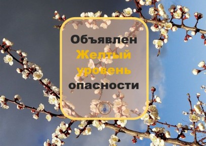 .    ѻ  :    . 25.07.2025      ,    15-18 /