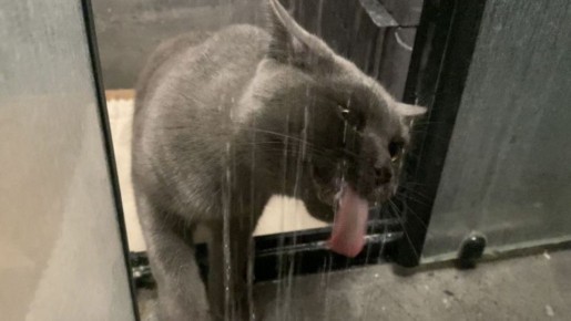  ,         26 