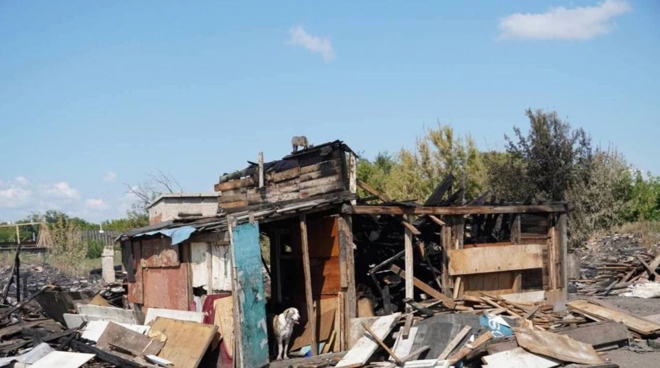 Шесть цыганских домов выгорели до тла под Самарой