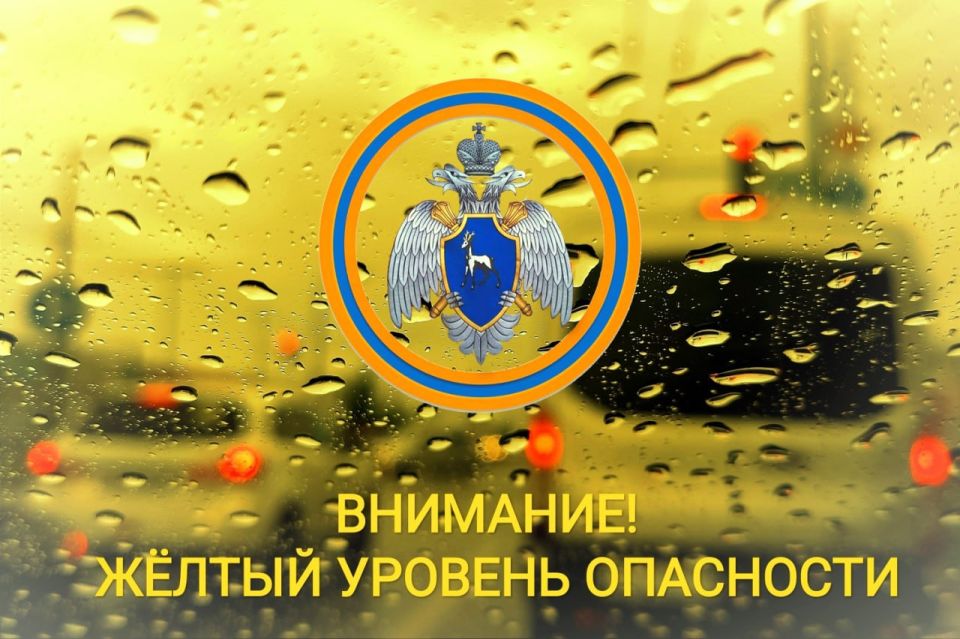.    ѻ  :    .    12.08.2025       , 