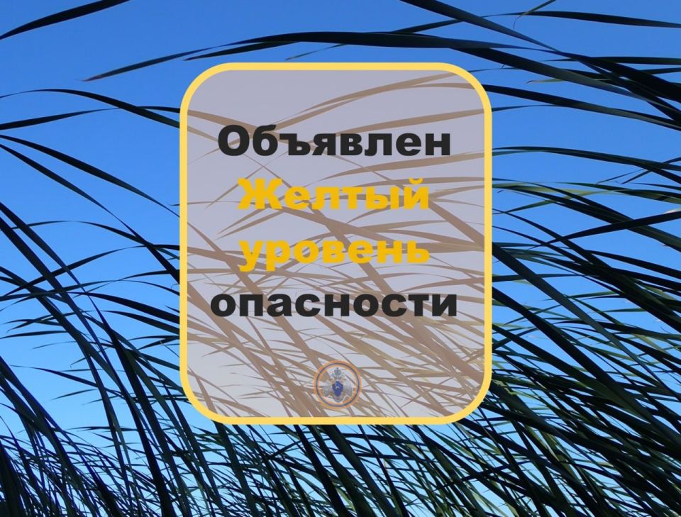 #.     ѻ  :    .  29  2025       , - ...