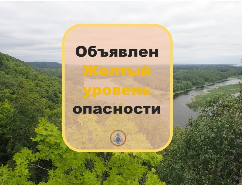 #.       ѻ   :    .    29   3  2025    ...