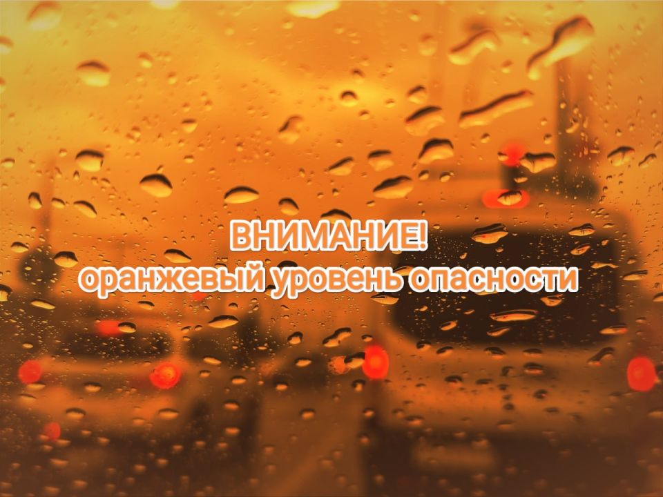 #.     ѻ   :    .  03.09.2025       ...