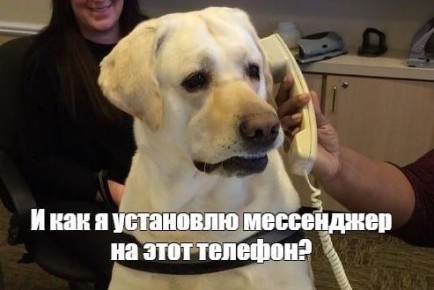   !    
