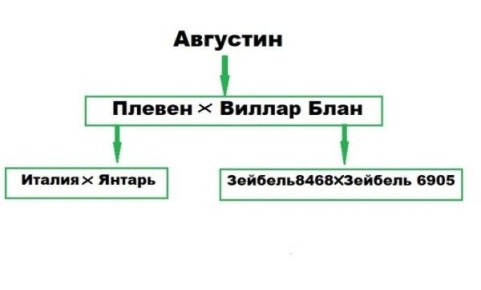  : ,      