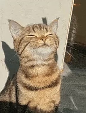         !