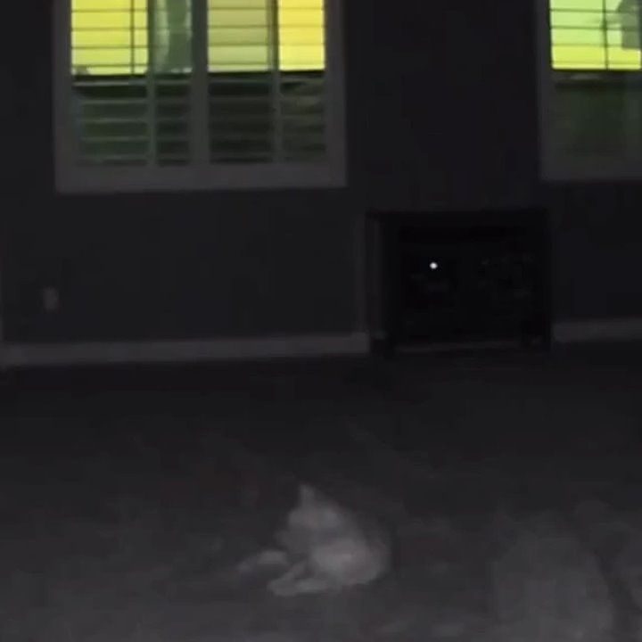    ,               