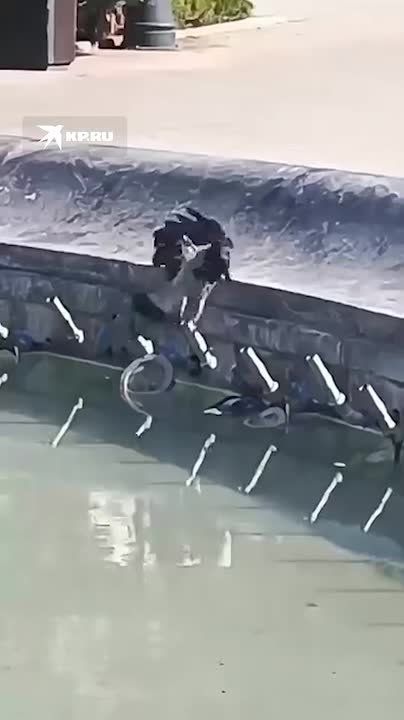  :       -  