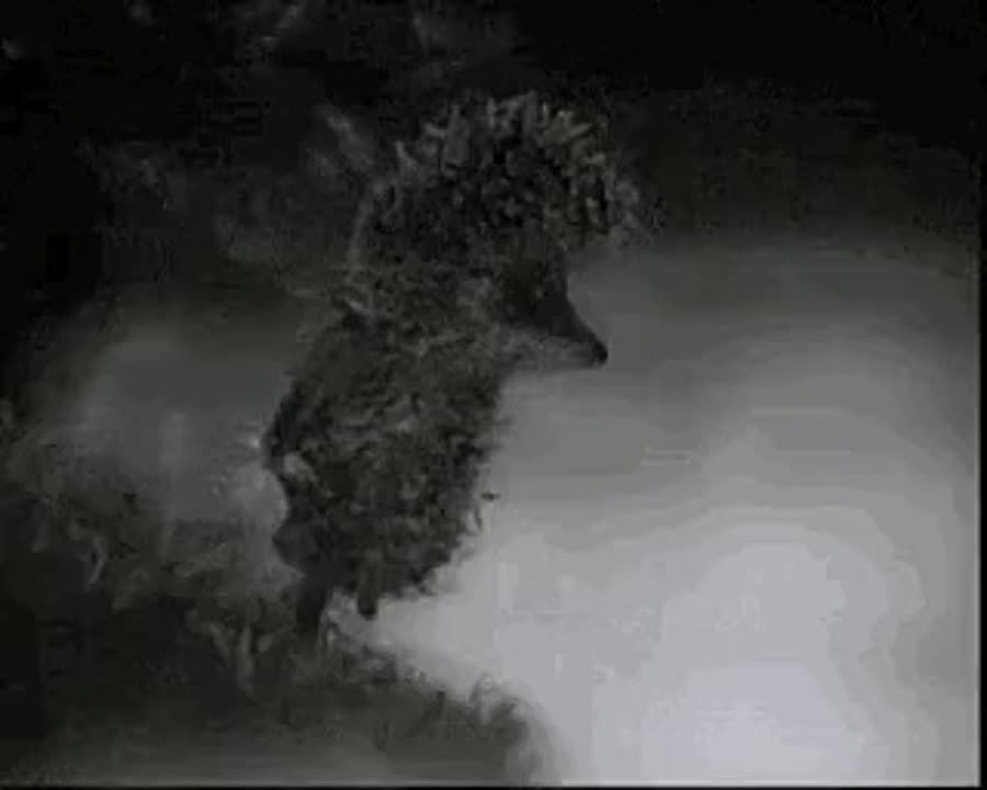   !.    