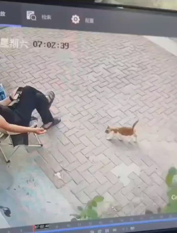        ,      