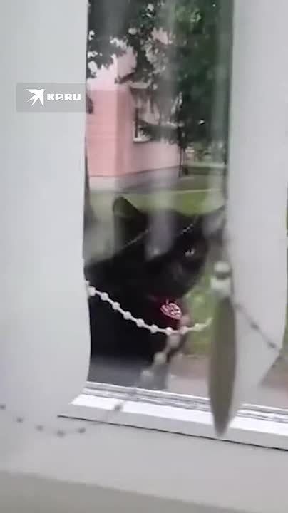  .        ,    ,    )