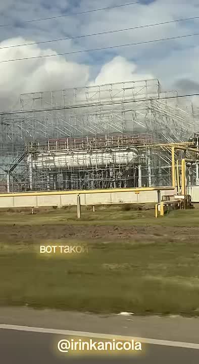  :  ,       ,  