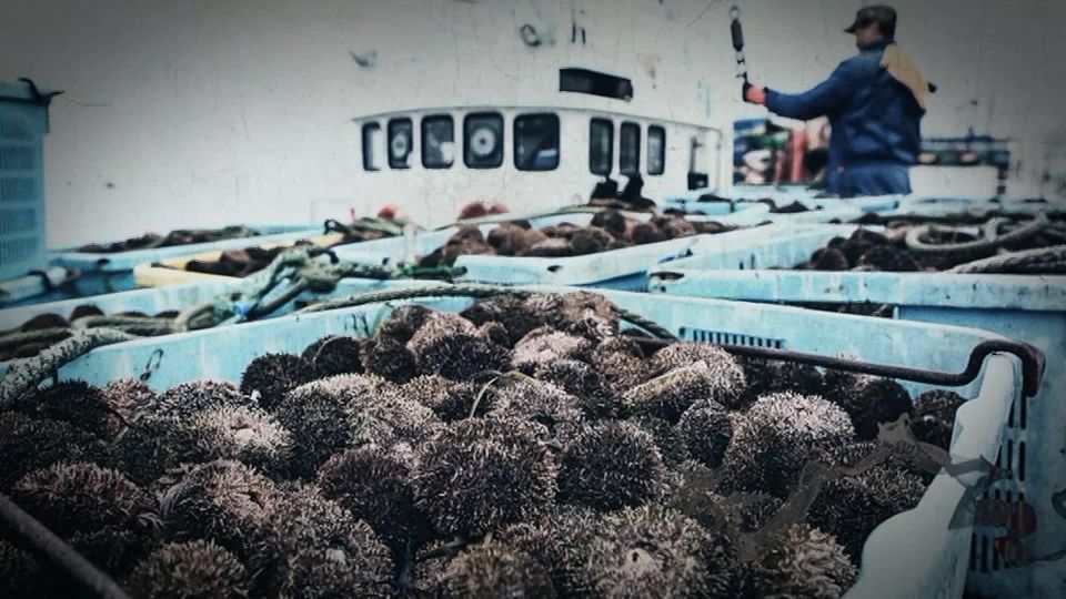            ,    ?      ?        ,  ...