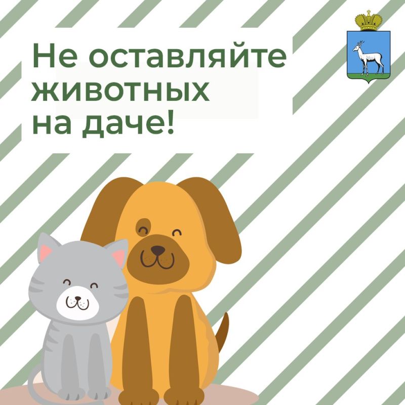 Не оставляйте животных на даче