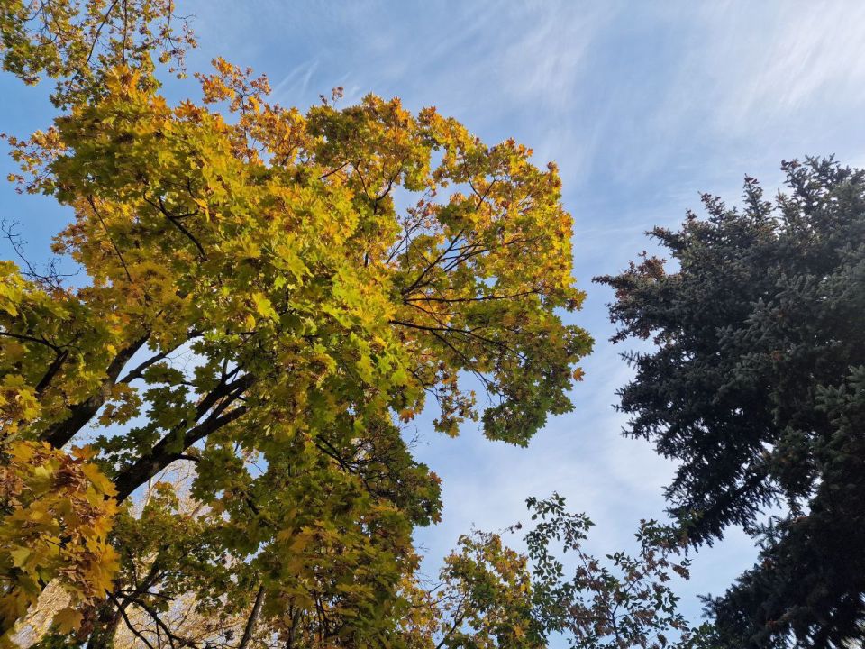 Доброе субботнее утро, Самара!