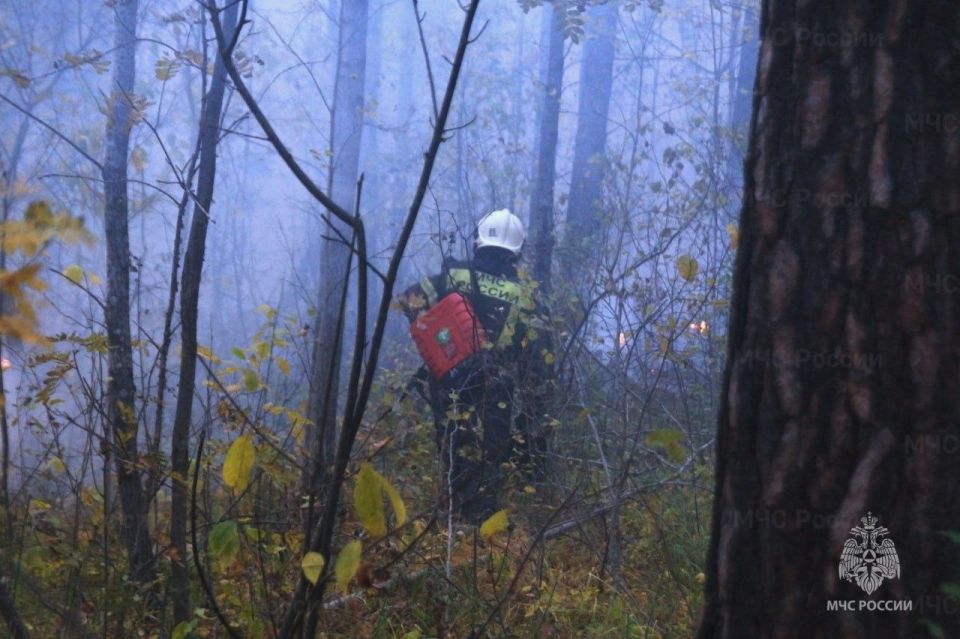 Осень не становится препятствием для природных пожаров в регионе