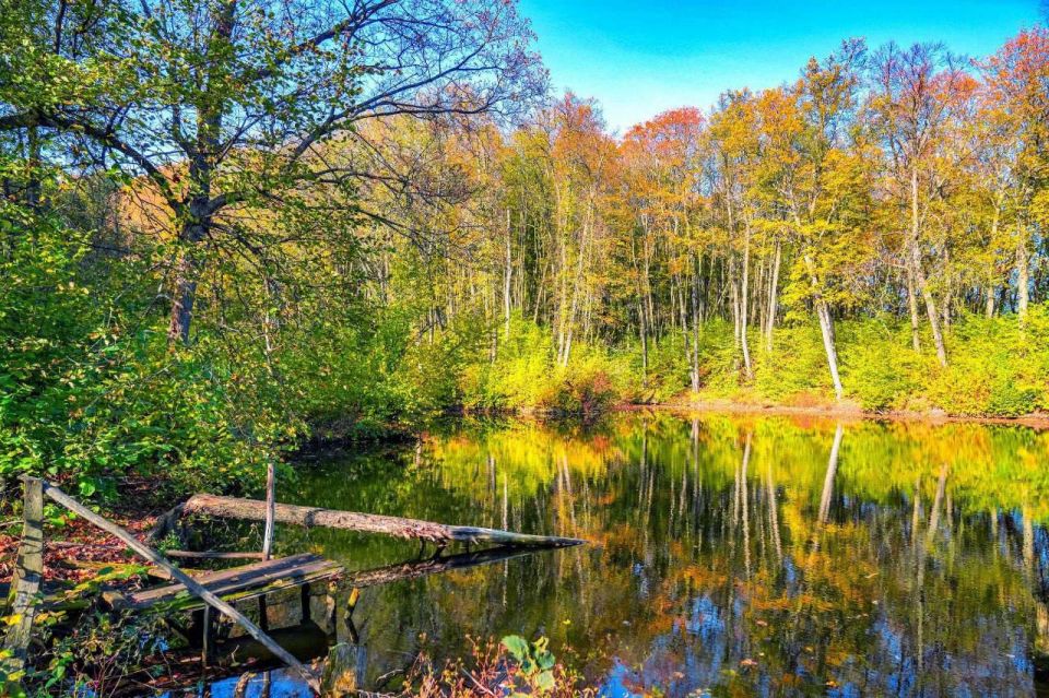 Место спокойствия. Немного за Жигулёвском