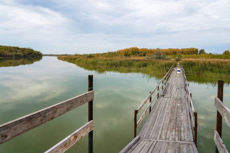 Необычный «горбатый» мостик на прудах под Хрящёвкой