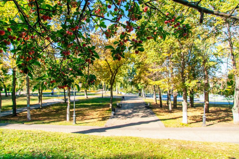 Доброе утро, Самара. Прекрасного настроения, приятного удивления, сияющих глаз, веселой улыбки, удачного дня! Кому на Волге