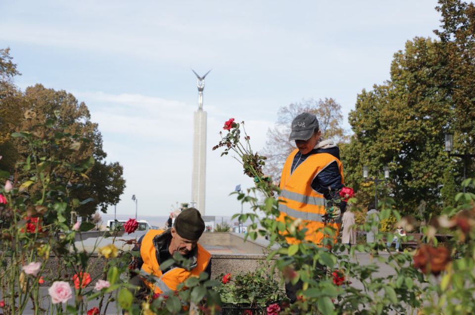 Городские клумбы в Самаре начали подготавливать к зимнему сезону