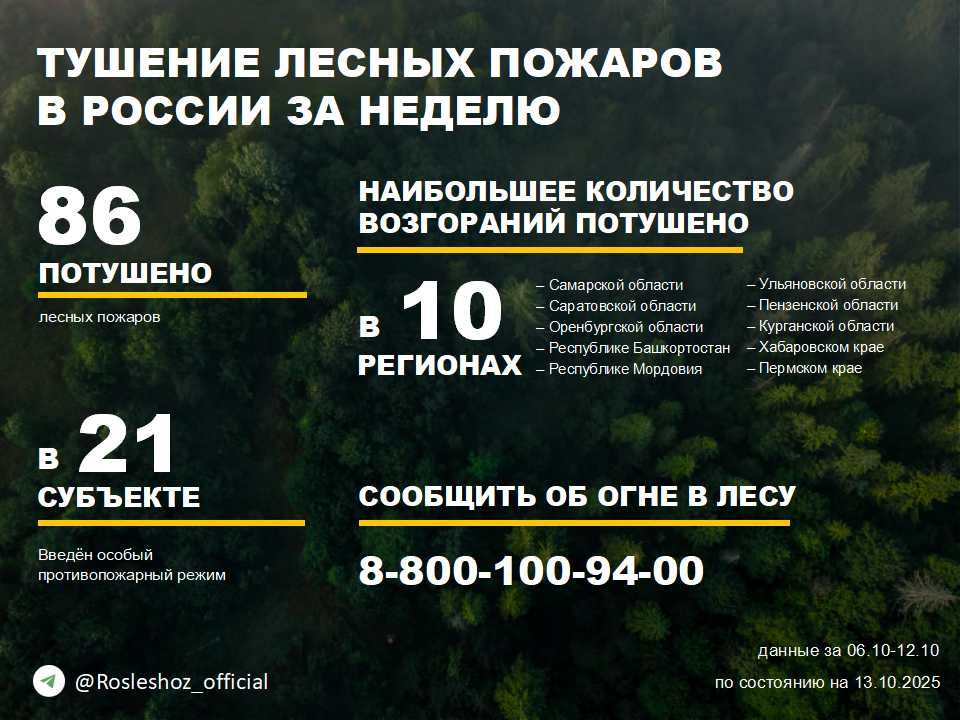 По данным Авиалесоохраны, подведомственной организации Рослесхоза, за прошедшую неделю потушено 86 лесных пожаров в 23 регионах России