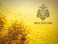  .    ѻ  :    . 14.10.2025       