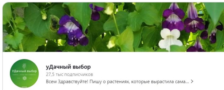   &quot; &quot;:   