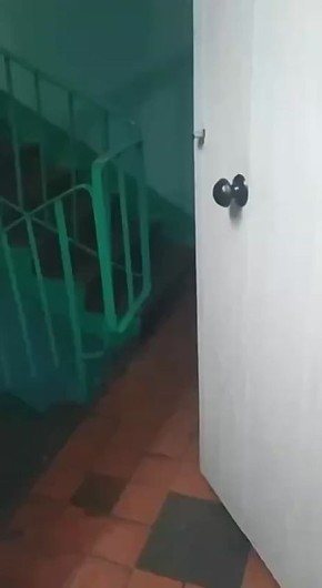                -, 233    :           ....