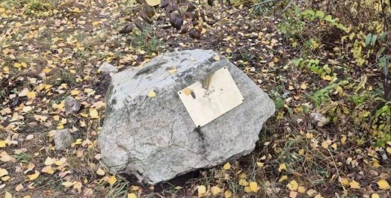      ?
