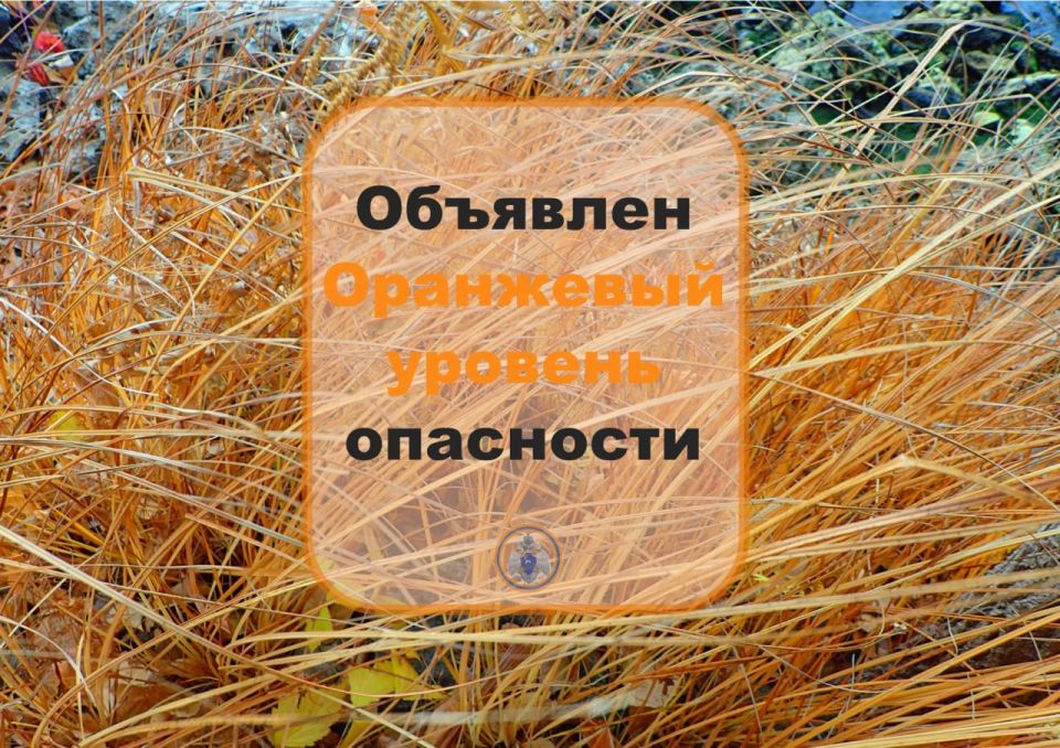 #МЧСпредупреждает. Высокая пожароопасность лесов От ФГБУ «Приволжское УГМС» получено штормовое предупреждение: «Объявлен оранжевый уровень опасности. В период с 15 по 21 октября местами по юго-западу Самарской области...