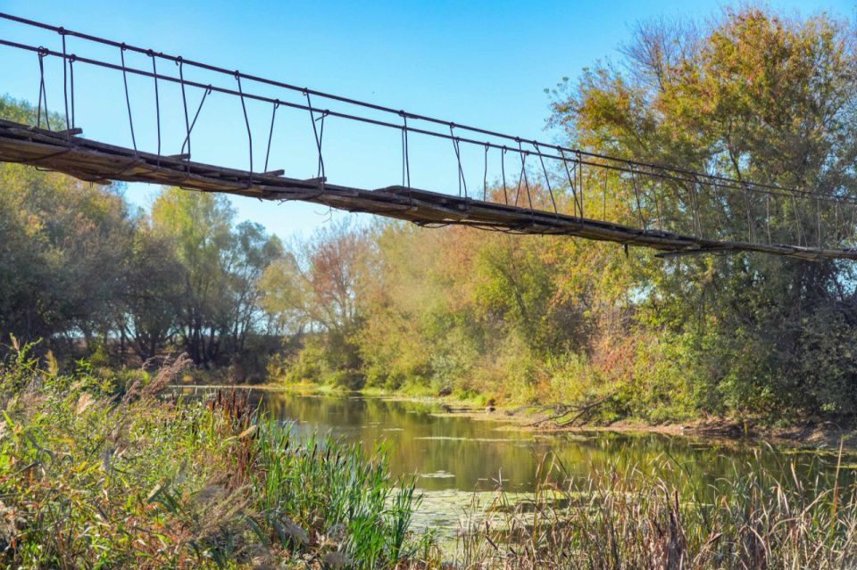 Прогулка по качающемуся подвесному мосту — ещё один вид развлечения для выезжающих за город