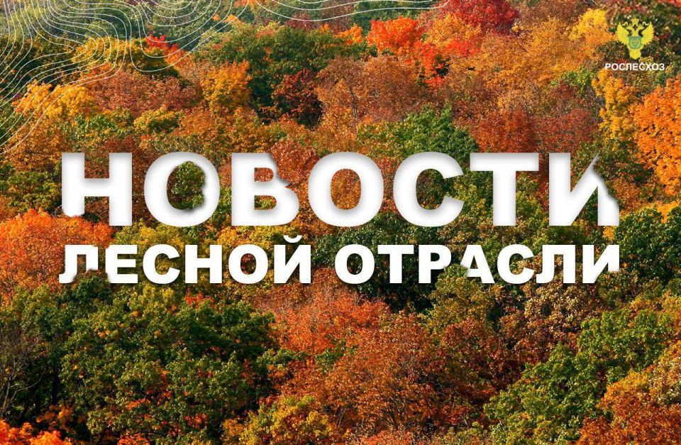 AK&M: Рослесхоз за 9 месяцев 2025 года согласовал перенос обязательств по компенсационному лесовосстановлению на 14,3 тыс