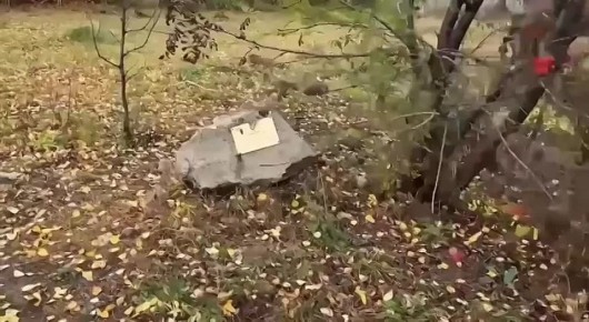  :     , ***        