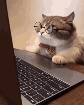      - ?