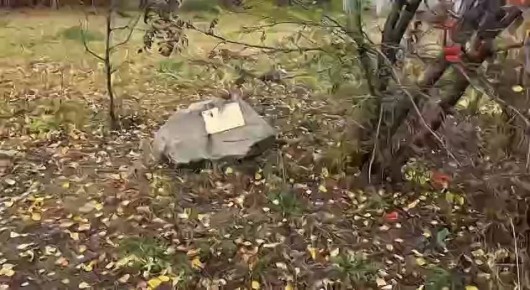 &quot; *&quot;.             