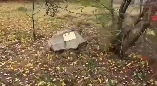  :     -     