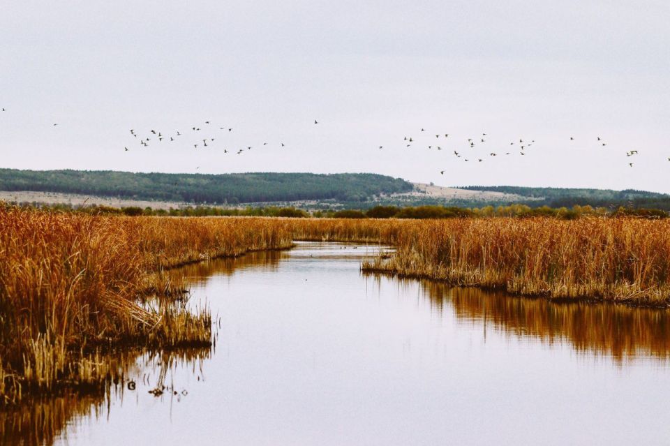 Мрачноватое, но от этого не менее красивое Белое озеро