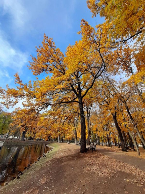 Доброе утро, Самара!. Хорошего дня и отличного настроения : Красивые места Самары и области