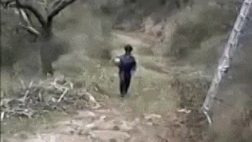  , !.      