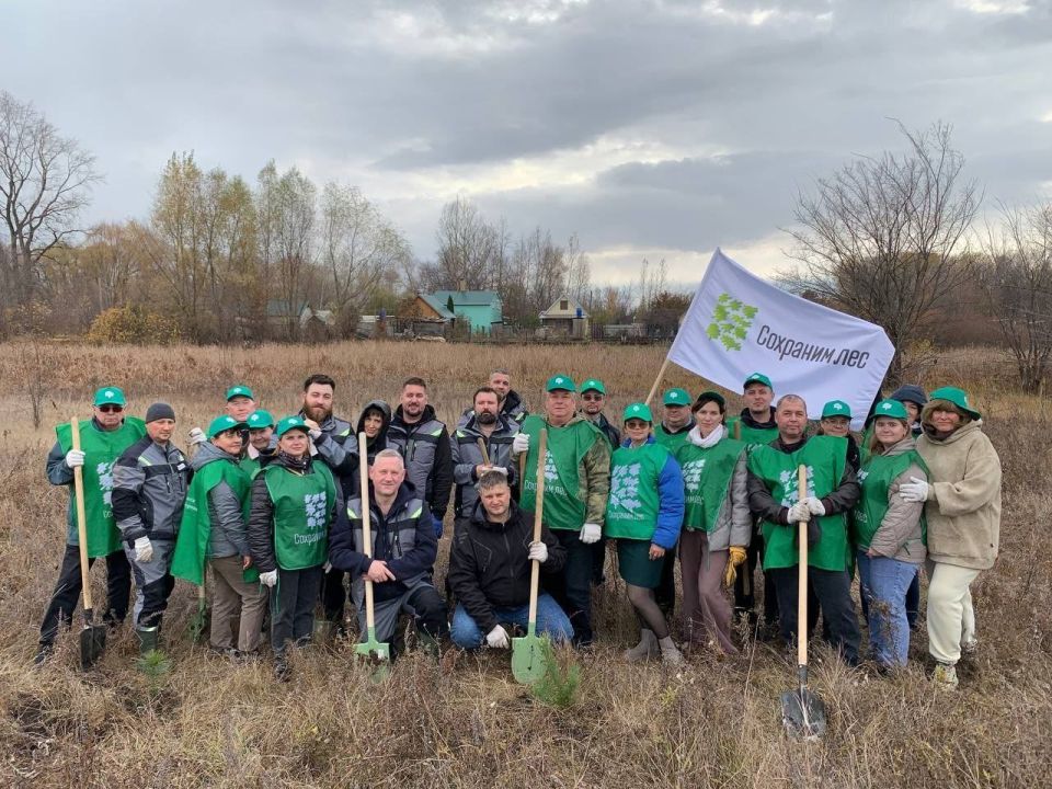 Городской округ Кинель присоединился к всероссийской акции «Сохраним лес» Городской округ Кинель присоединился к всероссийской акции «Сохраним лес»