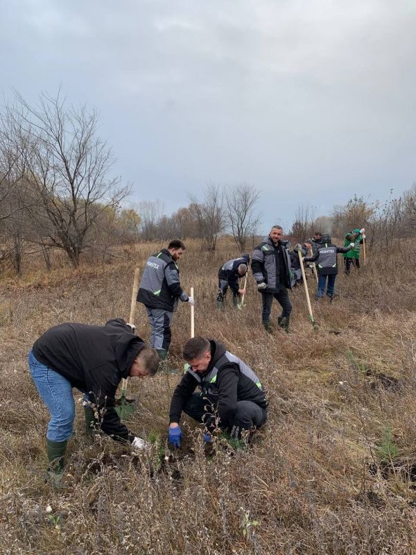 Городской округ Кинель присоединился к всероссийской акции «Сохраним лес» Городской округ Кинель присоединился к всероссийской акции «Сохраним лес»