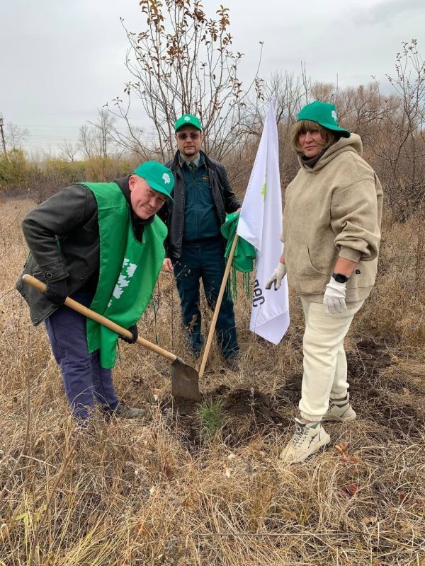 Городской округ Кинель присоединился к всероссийской акции «Сохраним лес»