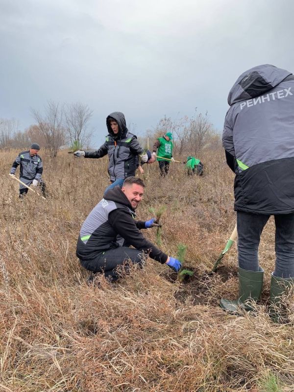 Городской округ Кинель присоединился к всероссийской акции «Сохраним лес» Городской округ Кинель присоединился к всероссийской акции «Сохраним лес»