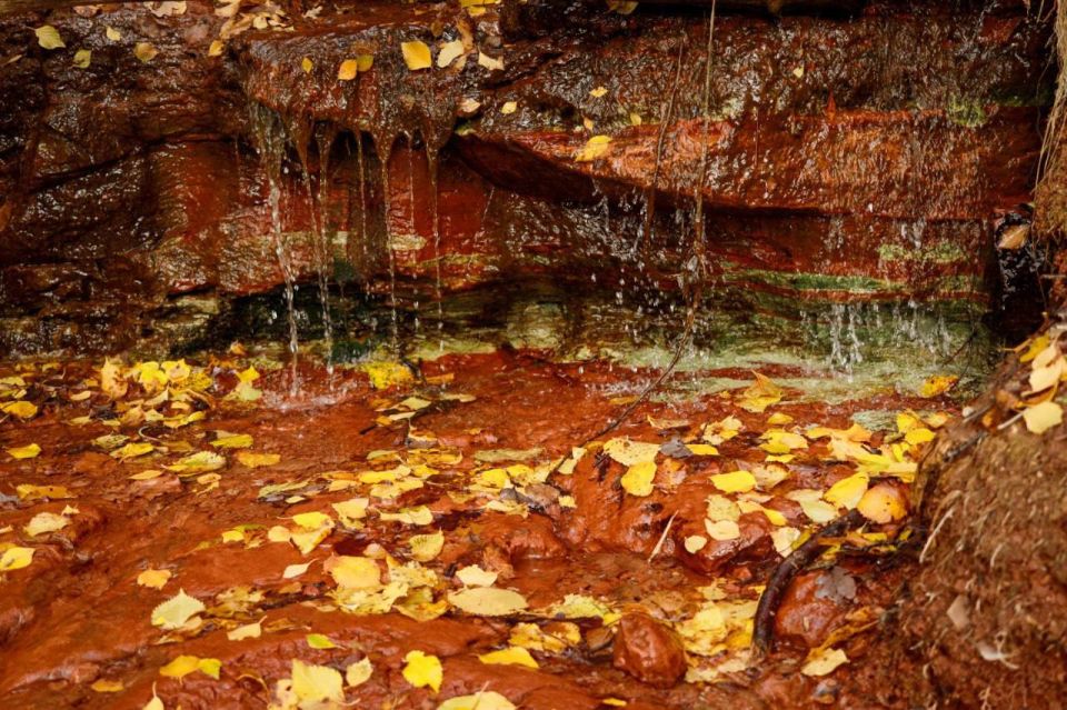 Вся красота осени — здесь. Родник у села Красная Самарка