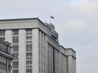 Новая инициатива ГД: пожизненное за вовлечение детей в диверсии