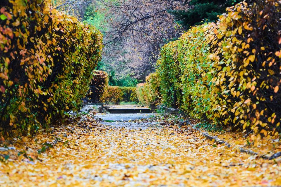 Пусть падают листья, но не настроение