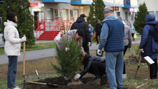 В Самаре до конца осени высадят 5 тысяч деревьев