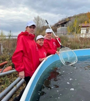В Волгу выпустили более 3,5 тысяч мальков сазана